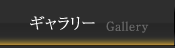 ギャラリー